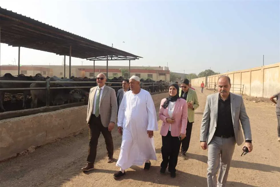 لفحص الأضاحي… محافظ القليوبية يتجول في مجزر شبرا شهاب بالقناطر الخيرية لفحص الأضاحي… محافظ القليوبية يتجول في مجزر شبرا شهاب بالقناطر الخيرية