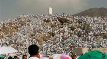 لماذا يُطلق على يوم عرفة هذا الاسم؟.. 5 حقائق يكشفها أمين الفتوى (فيديو)