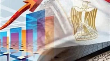 مؤسسة التمويل الدولية تثمّن الإجراءات التي نفذتها مصر في مجال الإصلاح الاقتصادي