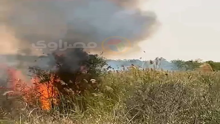 ما أسباب اندلاع الحرائق في مزارع شرق النفق بالسويس؟ (صور) ما أسباب اندلاع الحرائق في مزارع شرق النفق بالسويس؟ (صور)