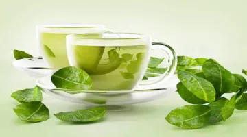 ما الذي يحدث لجسمك عند تناول الشاي الأخضر بشكل يومي؟