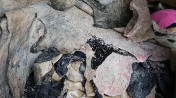 ما هو الحكم الشرعي لجمع جلود الأضاحي وبيعها في مزاد علني بإشراف جهة خيرية؟