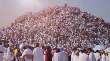 ما هي الصلاة المهمة التي يجب الالتزام بها في يوم عرفة؟ أمين الفتوى يجيب (فيديو)