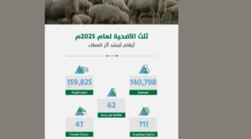 مبادرة “ثلث الأضحية” في الرياض تحقق زيادة بنسبة 33% في عدد المستفيدين للعام 1446هـ

13 يونيو 2025 | 11:15 مساءً