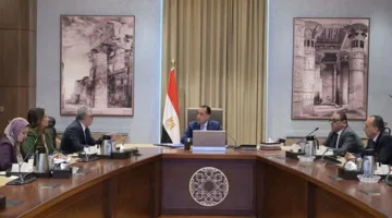 مجلس الوزراء: إطلاق تجربة أولية للمنصة الرقمية لمنح تراخيص الاستثمار