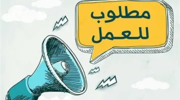 محاسبين وعمال: شركة الغزل والنسيج توفر وظائف براتب شهري يصل إلى 7 آلاف جنيه