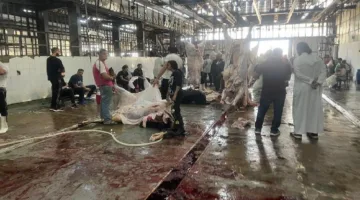 محافظ القاهرة: زيادة ملحوظة في الإقبال على المجازر الحكومية بعد صلاة العيد