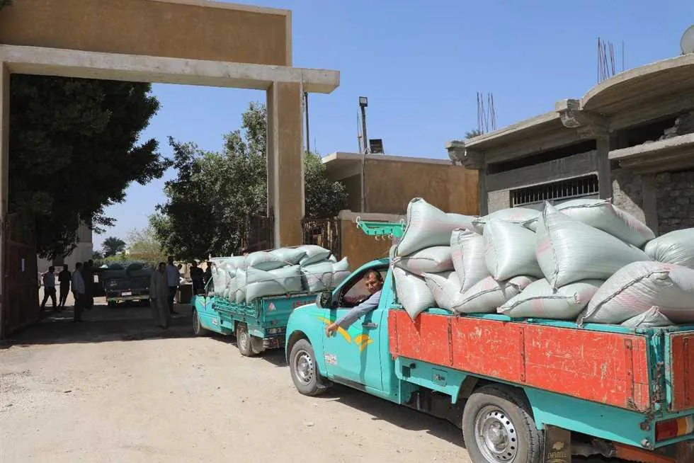 محافظ بني سويف: مواصلة استلام القمح خلال عطلة العيد مع تجاوز الكميات 272 ألف طن محافظ بني سويف: مواصلة استلام القمح خلال عطلة العيد مع تجاوز الكميات 272 ألف طن