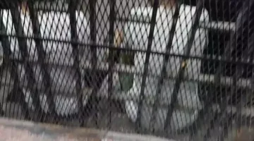محاكمة شبكة إجرامية متهمة بالاعتداء على المواطنين وسرقتهم في بولاق أبو العلا