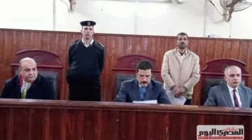 محكمة المنيا تقضي بالسجن المشدد على شخصين بتهمة حيازة أسلحة نارية.