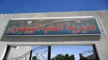 مديرية الطب البيطري في الوادي الجديد تعرض لحومًا محلية بسعر 280 جنيهًا للكيلو.