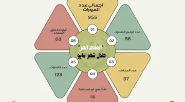 «مديرية صحة كفر الشيخ» تستمر في حملاتها التفتيشية المكثفة لضمان جودة الخدمات الصحية