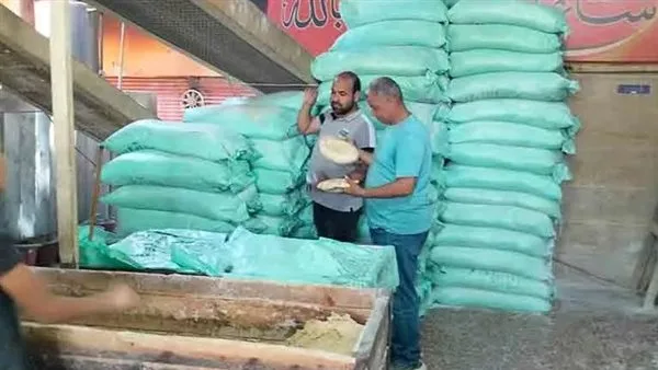 مراقبة فرعية في إدارات التموين بالإسكندرية تُسفر عن تحرير 44 محضرًا مراقبة فرعية في إدارات التموين بالإسكندرية تُسفر عن تحرير 44 محضرًا