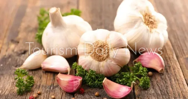مزايا الثوم في تطهير الجسم من السموم والمعادن الثقيلة مزايا الثوم في تطهير الجسم من السموم والمعادن الثقيلة