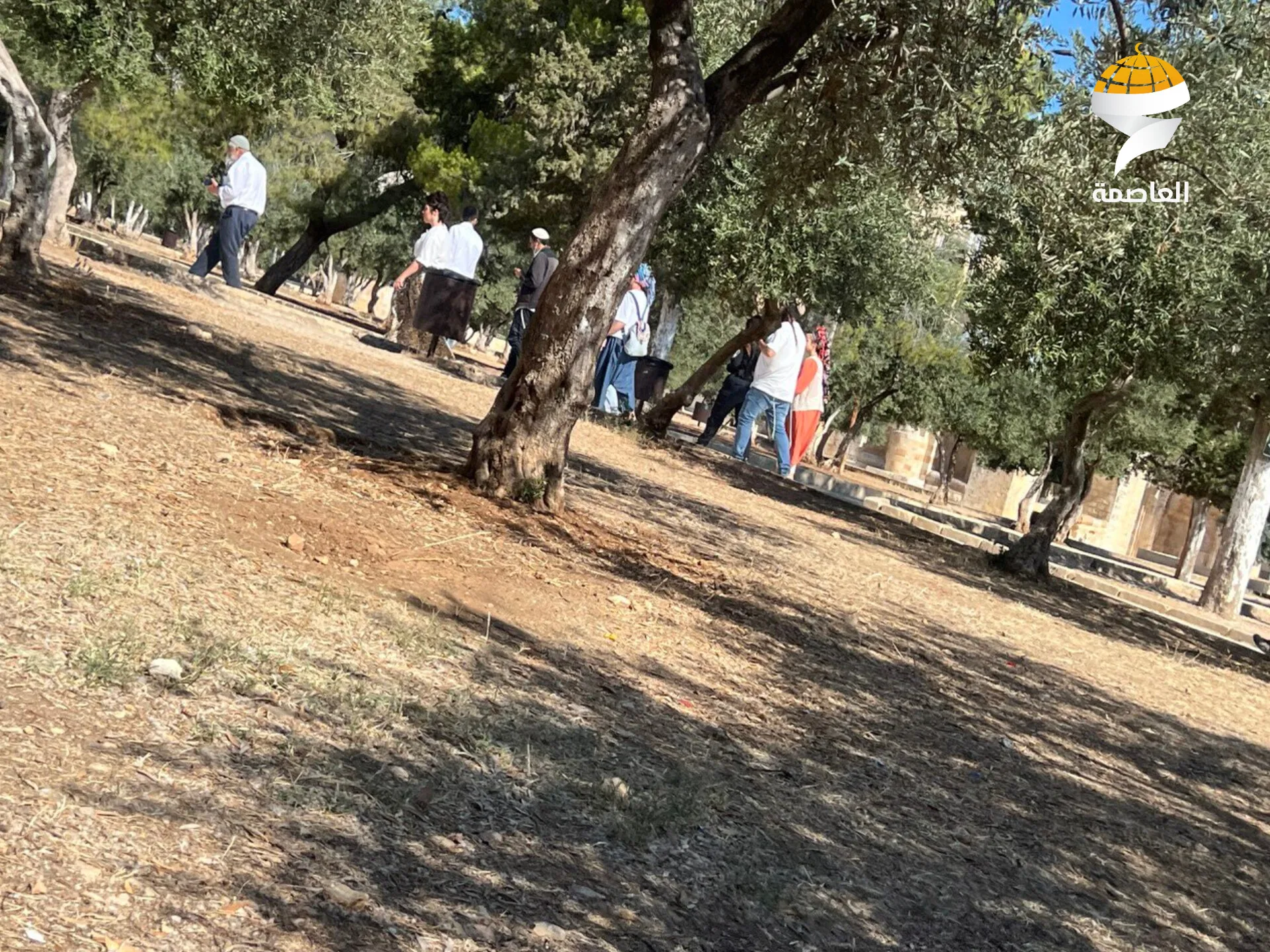 مستوطنون يدخلون المسجد الأقصى بشكل غير قانوني مستوطنون يدخلون المسجد الأقصى بشكل غير قانوني