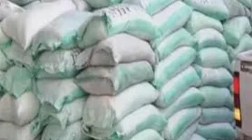 مصادرة 2 طن من الطحين خلال حملات تفتيش على المخابز في 24 ساعة