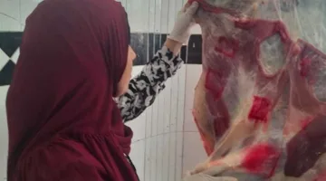 مصادرة كميات من اللحوم الحمراء والبيضاء الفاسدة خلال حملة بيطرية في شمال سيناء