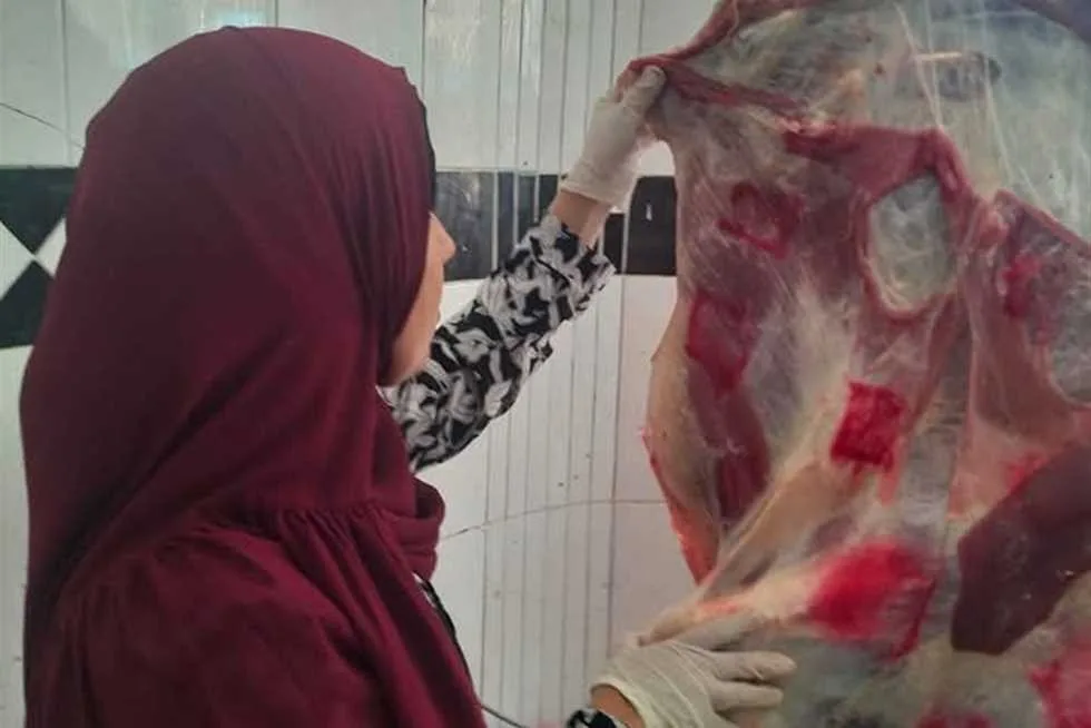مصادرة كميات من اللحوم الحمراء والبيضاء الفاسدة خلال حملة بيطرية في شمال سيناء