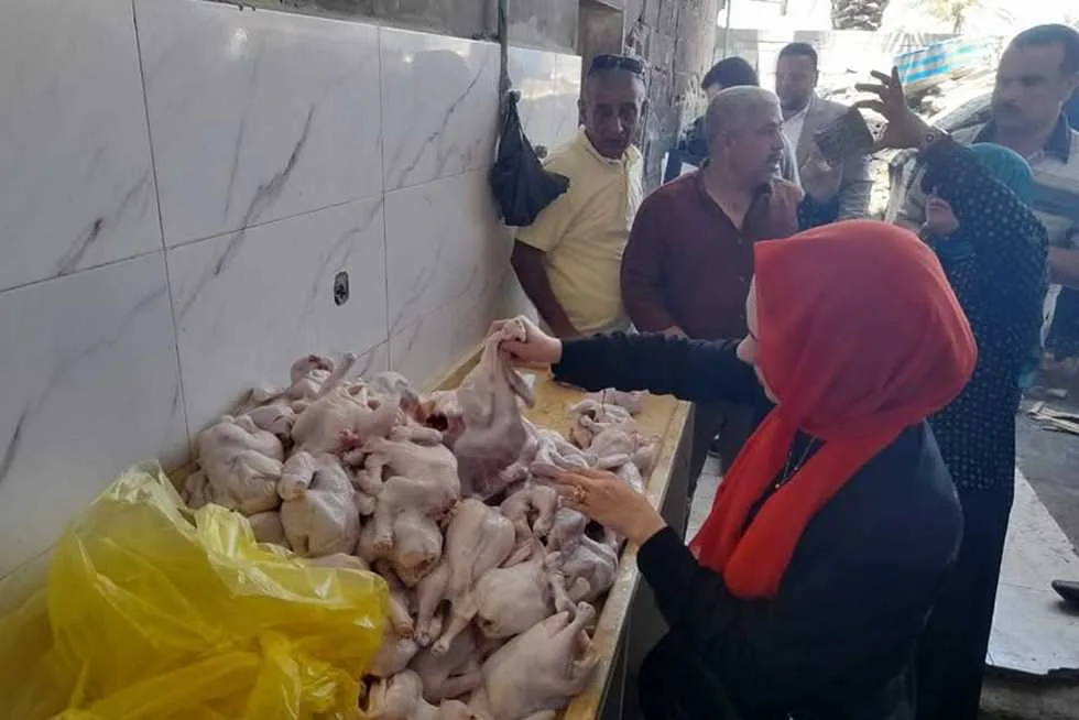 مصادرة مواد غذائية غير صالحة للاستهلاك البشري وتحرير 10 مخالفات تموينية في شمال سيناء. مصادرة مواد غذائية غير صالحة للاستهلاك البشري وتحرير 10 مخالفات تموينية في شمال سيناء.