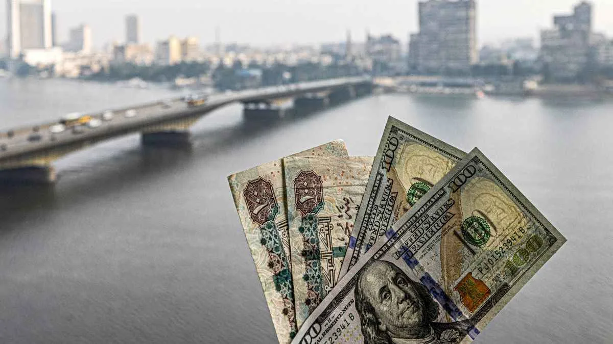 مصر: استقرار القطاع الخاص مع تراجع محدود في الأنشطة الجديدة والإنتاج