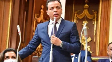 «مصر المعاصرة»: التعديلات على قوانين الانتخابات ترتكز على أسس دستورية وقانونية