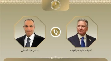 مصر تؤكد على ضرورة إنهاء الصراع في قطاع غزة خلال اتصال مع ويتكوف