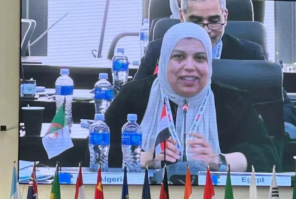 مصر تتألق في الابتكار البيولوجي أثناء اجتماع G20 البحثي في جنوب أفريقيا مصر تتألق في الابتكار البيولوجي أثناء اجتماع G20 البحثي في جنوب أفريقيا