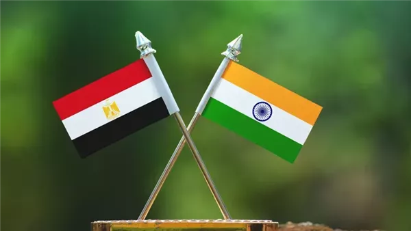 مصر والهند: تعاون تكنولوجي يستهدف الأسواق العالمية (تفاصيل) مصر والهند: تعاون تكنولوجي يستهدف الأسواق العالمية (تفاصيل)
