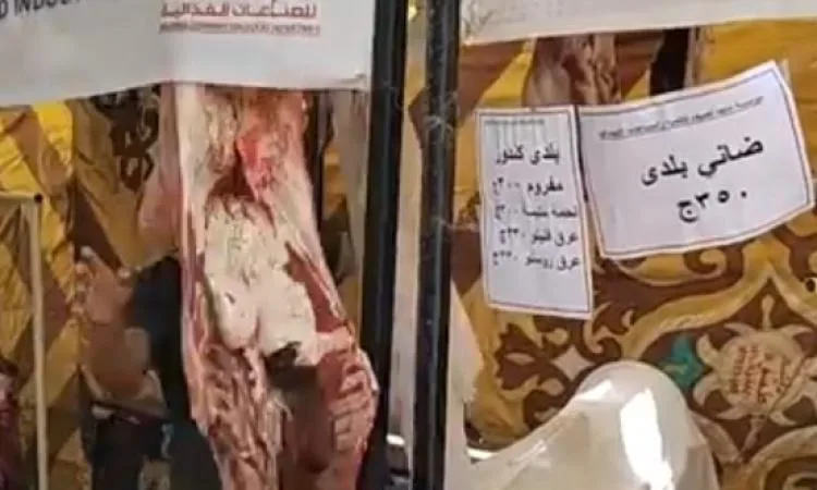 معرض “مرحباً بالعيد”.. بعيداً عن المنافسة