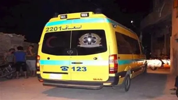 مقتل 3 عمال وإصابة آخرين نتيجة انهيار مدخنة مصنع طوب في الصف… والنيابة تبدأ التحقيقات