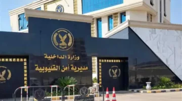 مقتل شاب في شجار نتيجة نزاعات الجيرة في القليوبية