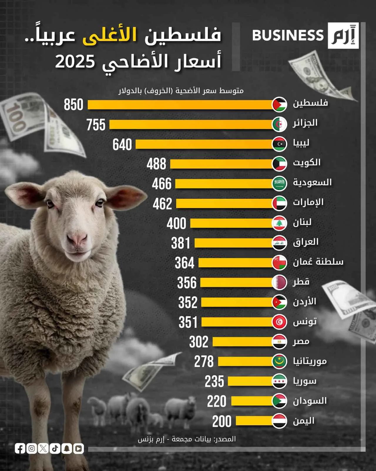 من فلسطين إلى اليمن: دليل أسعار الأضاحي لعام 2025 من فلسطين إلى اليمن: دليل أسعار الأضاحي لعام 2025