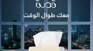 مناديل “قصة” تتربع على قائمة المفضلات في السعودية لعام 2025