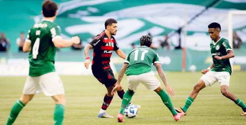 منافس الأهلي.. بالميراس يواجه كروزيرو في الدوري البرازيلي بصفة الضيف