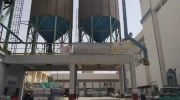 منذ بداية موسم الحصاد.. دخول 507 آلاف طن من القمح إلى صوامع وشون المنيا