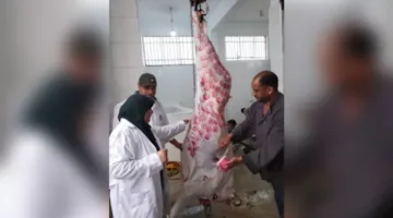 مواقع الذبح المعترف بها في عيد الأضحى بمحافظة الإسماعيلية