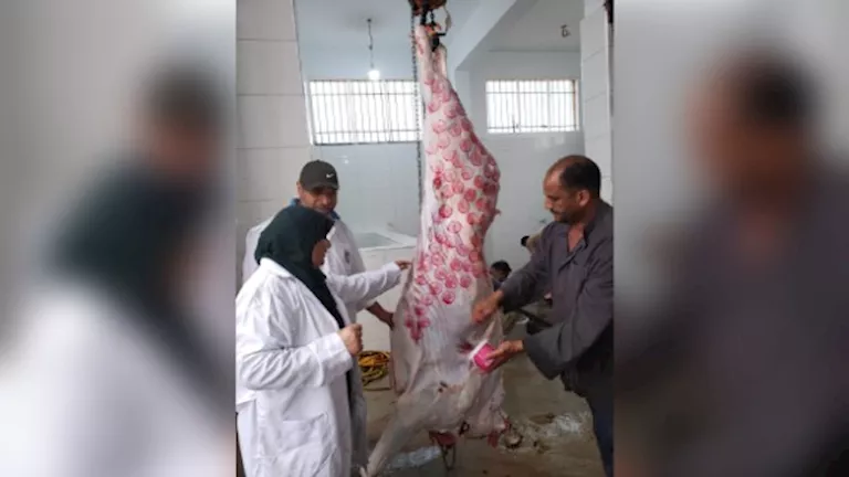 مواقع الذبح المعترف بها في عيد الأضحى بمحافظة الإسماعيلية مواقع الذبح المعترف بها في عيد الأضحى بمحافظة الإسماعيلية