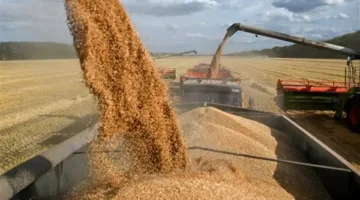 ميناء دمياط يستقبل 9,500 طن من القمح والذرة وزيوت الطهي