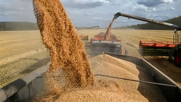 ميناء دمياط يستقبل 9,500 طن من القمح والذرة وزيوت الطهي