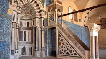 نائمون في المسجد: لص يسرق هاتفًا في وضح النهار (فيديو)