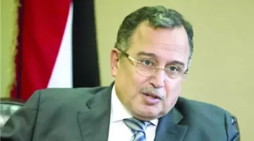 نبيل فهمي: مصر ساهمت في دعم العرب خلال معركة الاستقلال، والتحديات تستلزم تعزيز التعاون العربي.