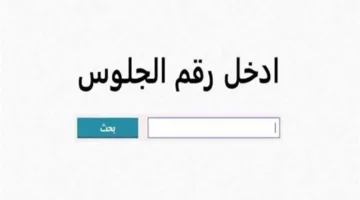 نتائج الصف الثالث الإعدادي 2025 في الجيزة .. طريقة ورابط الاستعلام لجميع الطلاب عند ظهورها