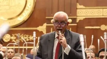 النائب حازم الجندي: موقف مصر الداعم لفلسطين ثابت لا يتغير