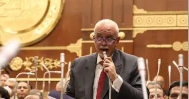 النائب حازم الجندي: موقف مصر الداعم لفلسطين ثابت لا يتغير النائب حازم الجندي: موقف مصر الداعم لفلسطين ثابت لا يتغير