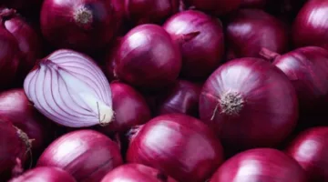 نقيب المزارعين: أسعار البصل الحالية مرضية.. وزيادة الصادرات لن تؤثر على السوق