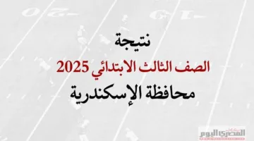 نتيجة الصف الثالث الابتدائي في الترم الثاني 2025 بالإسكندرية أصبحت متاحة رسميًا