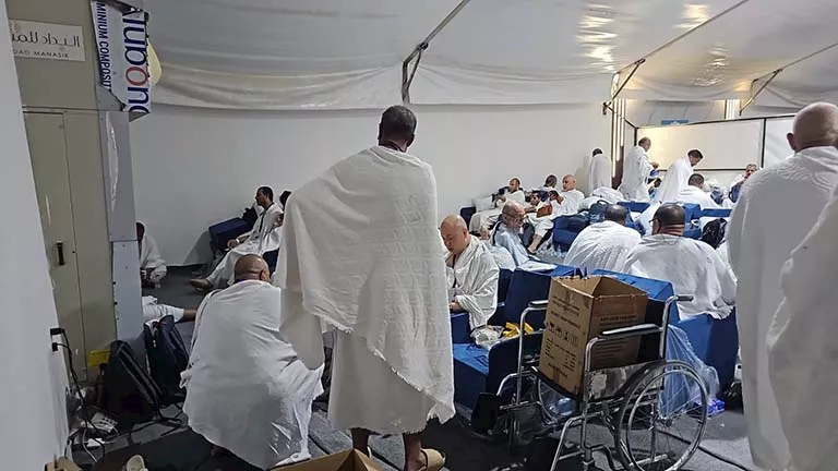 نجاح نقل حجاج السياحة مباشرة إلى عرفات دون الإقامة في منى – صور نجاح نقل حجاج السياحة مباشرة إلى عرفات دون الإقامة في منى – صور
