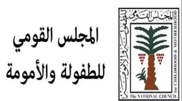 “نقل الأمانة بدلاً من العقد”.. “المجلس القومي للطفولة” يعلق على حادثة عريس الشرقية
