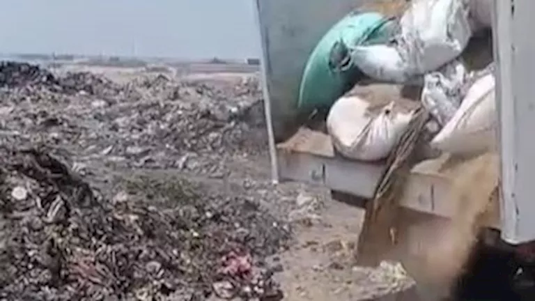 نيابة بني سويف تصدر قرارًا بإتلاف 12 طنًا من التوابل المقلدة