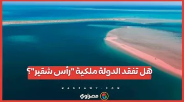 هل ستتنازل الدولة عن ملكية “رأس شقير”؟